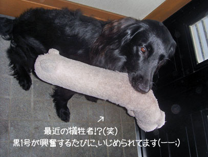 20090703-02.jpg
