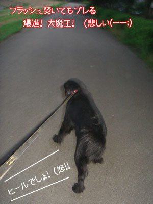 20090705-02.jpg