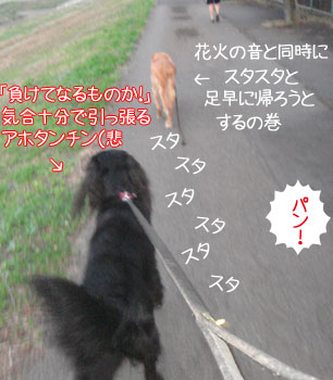 20090706-02.jpg