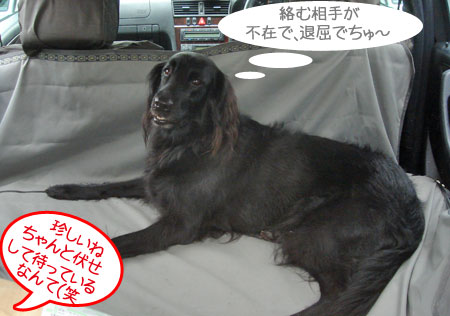 20090707-02.jpg