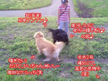 20090714-02.jpg