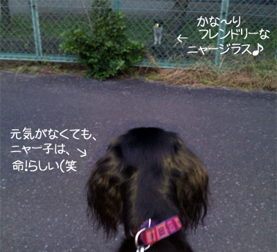 20090719-02.jpg