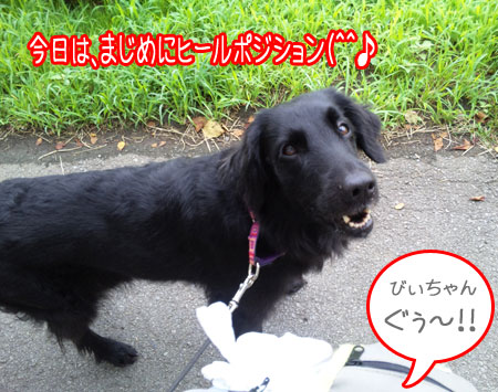 20090723-02.jpg