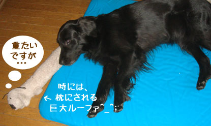 20090802-02.jpg