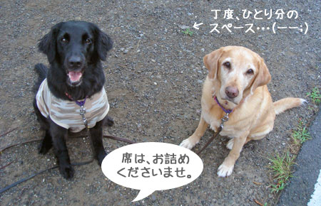 20090806-02.jpg