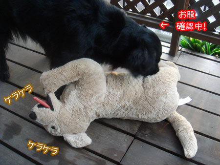 20091101-03.jpg