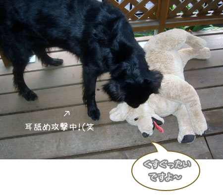 20091101-04.jpg
