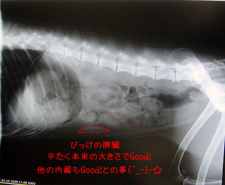 20091108-03.jpg