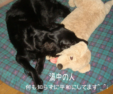 20091111-1.jpg