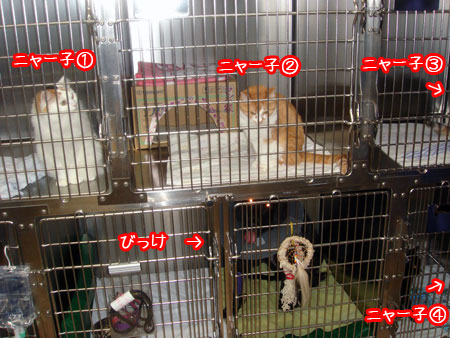 20091128-04.jpg
