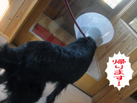 20091201-03.jpg