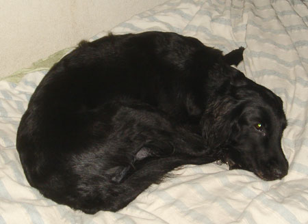 20091203.jpg