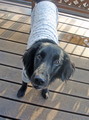 20091206-02.jpg