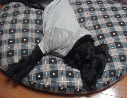 20091207-01.jpg