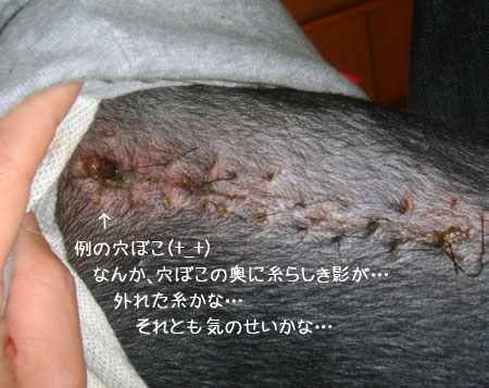 20091207-03.jpg