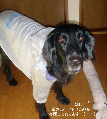 20091208-01.jpg