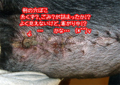 20091208-02.jpg