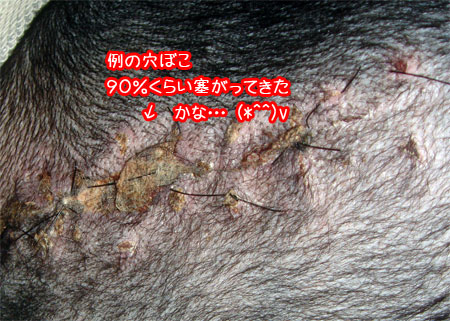 20091209-01.jpg