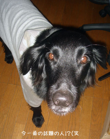 20091209-03.jpg