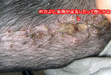 20091210-01.jpg