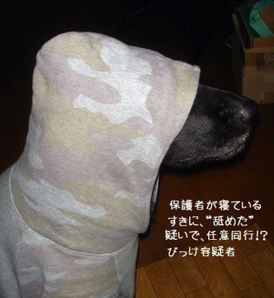 20091210-02.jpg