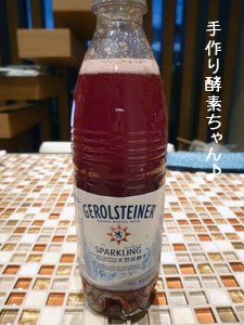 20100102-00.jpg