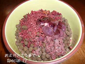 20100102-01.jpg