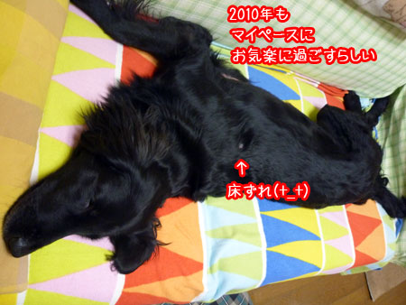 20100102-02.jpg