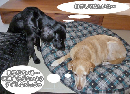 20100107.jpg