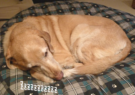 20100111.jpg