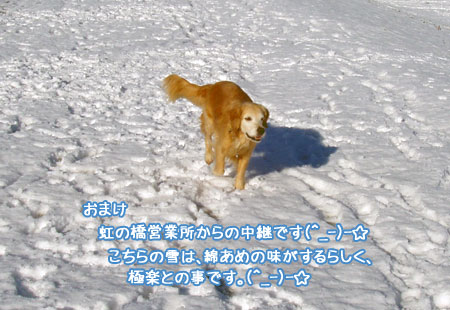 20100202-05.jpg