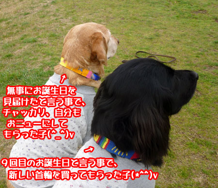 20100404.jpg