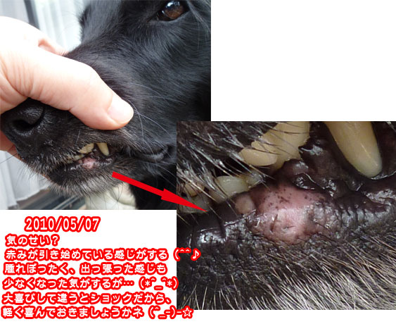 20100507.jpg