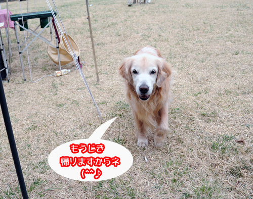 20100601.jpg