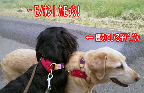 20100607.jpg