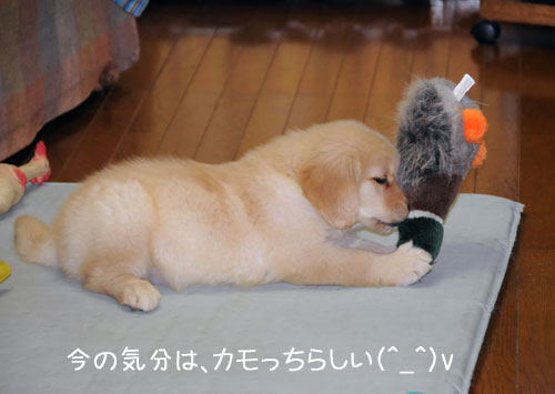 20100701.jpg