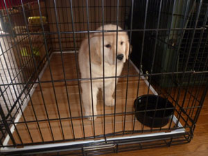 20100702-01.jpg