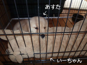20100702-02.jpg