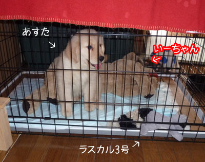 20100702-03.jpg