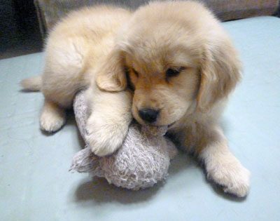 20100704.jpg