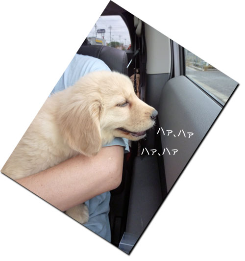 20100705.jpg