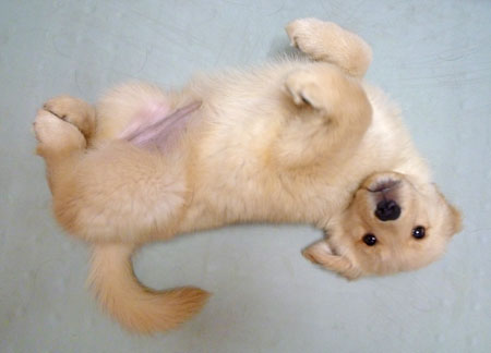 20100706.jpg