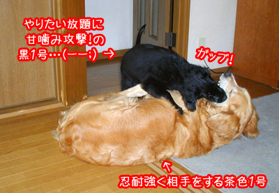 20100707-02.jpg
