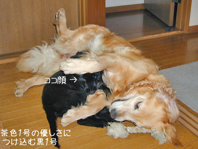 20100707-03.jpg
