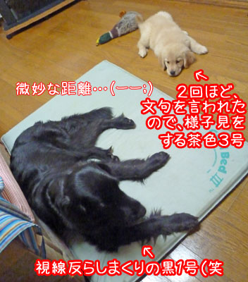 20100707-04.jpg