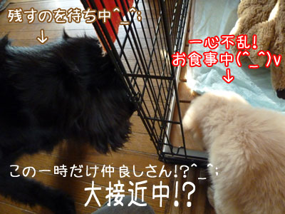 20100708.jpg