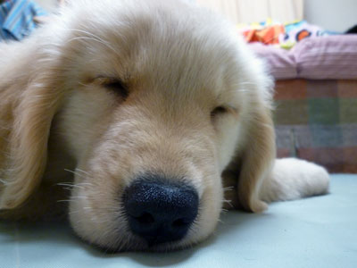 20100709.jpg