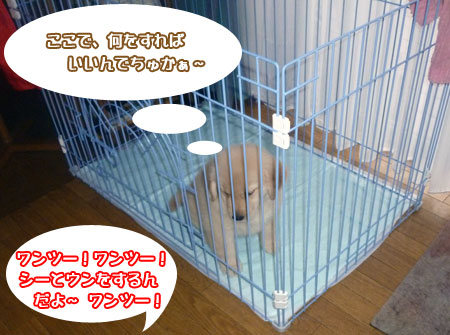 20100710-01.jpg
