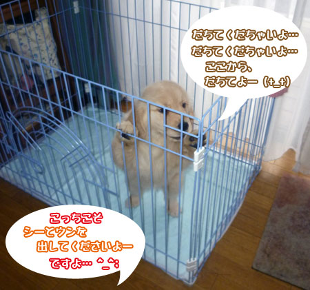 20100710-02.jpg
