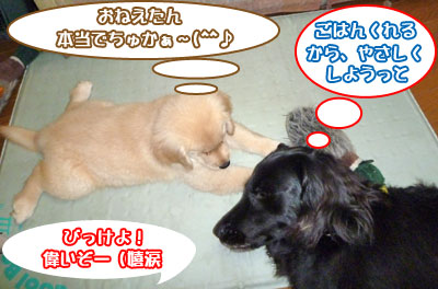 20100711-01.jpg